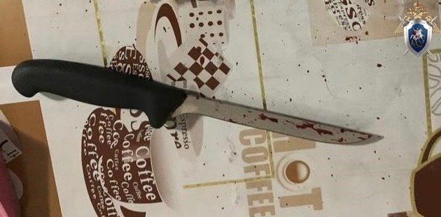 В Мясниковском районе женщина осуждена за убийство своего супруга